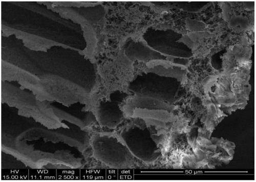 Preparation method and application of citric acid grafted chitosan beads