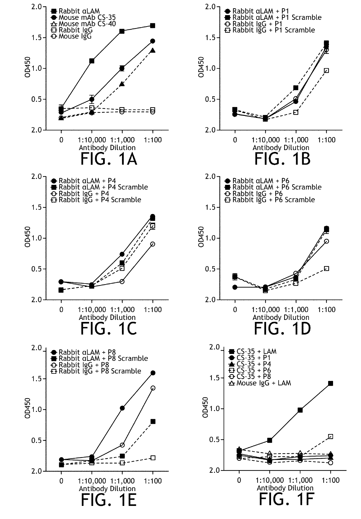 Peptide mimotope that induces an immune response against mycobacterium tuberculosis lipoarabinomannan (LAM)