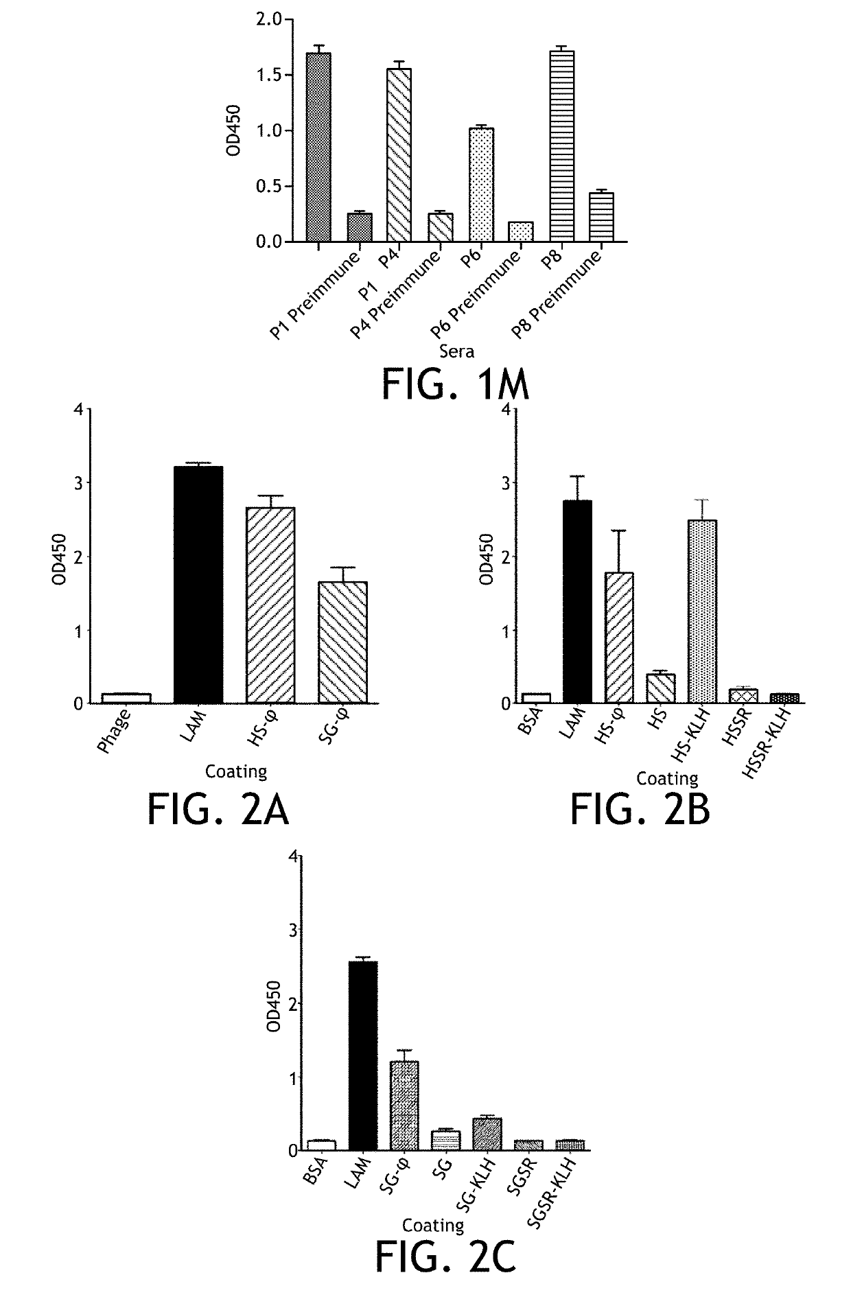 Peptide mimotope that induces an immune response against mycobacterium tuberculosis lipoarabinomannan (LAM)