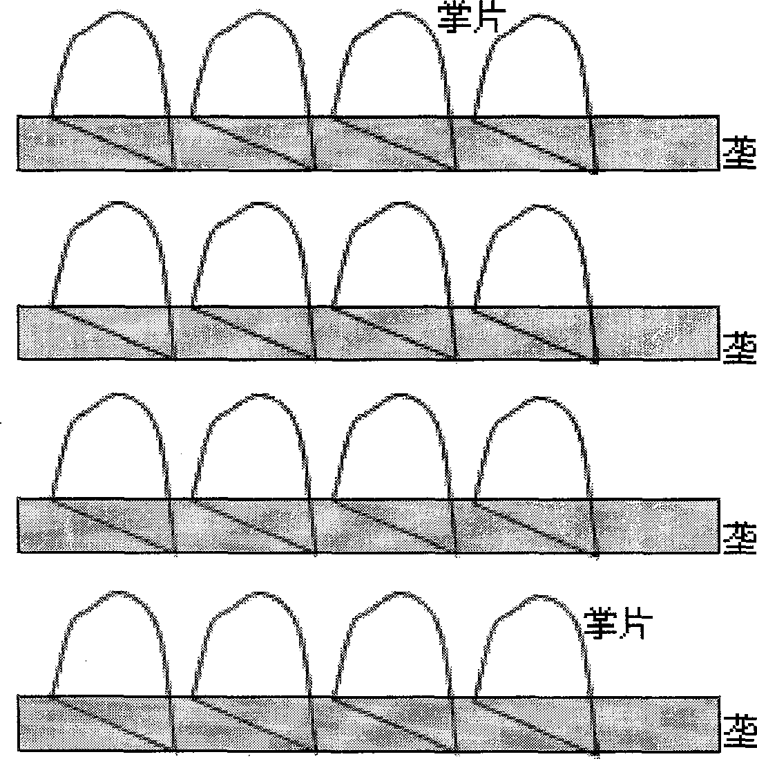 High-yield cultivation method of dactylopius coccus costa