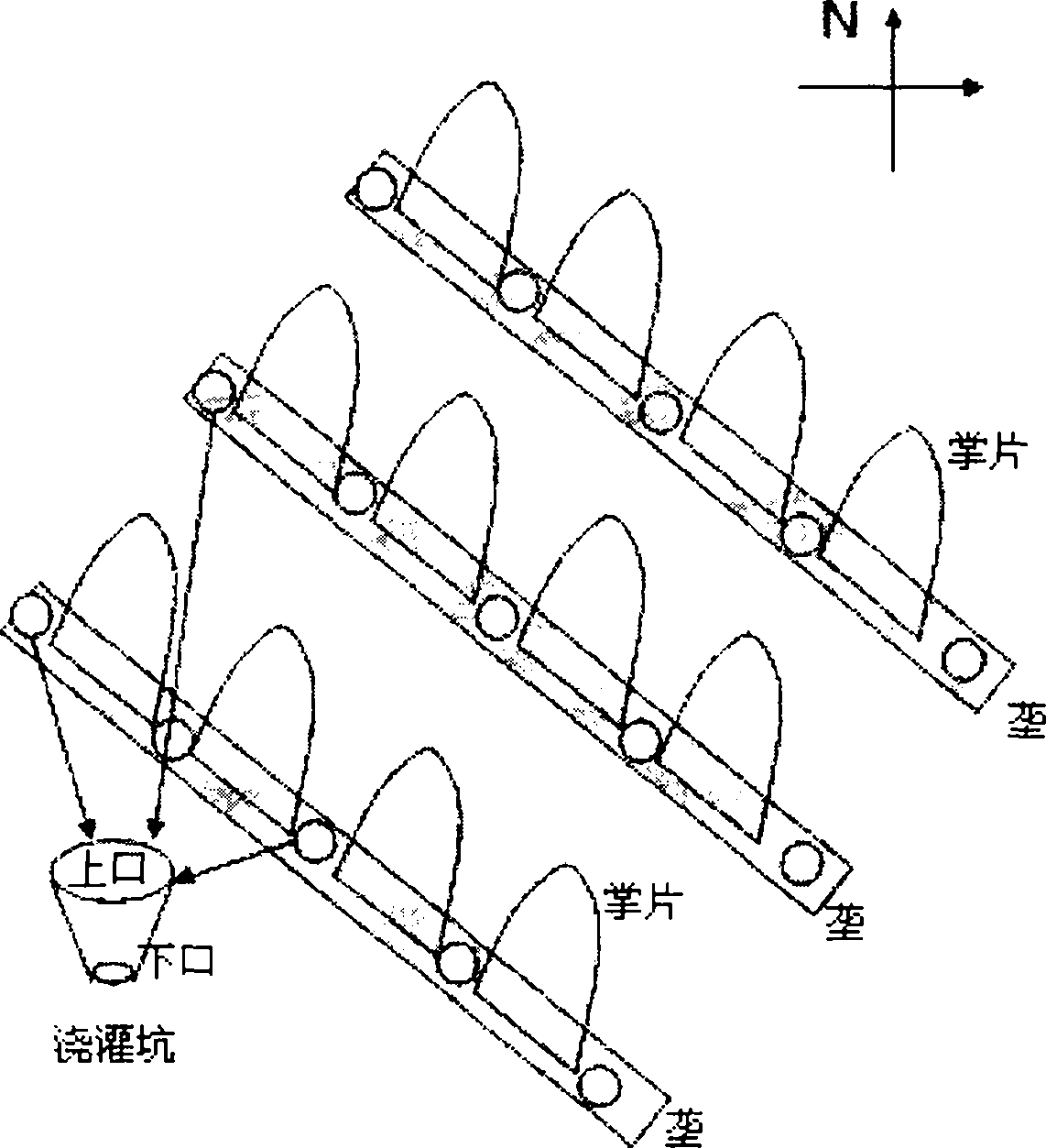 High-yield cultivation method of dactylopius coccus costa