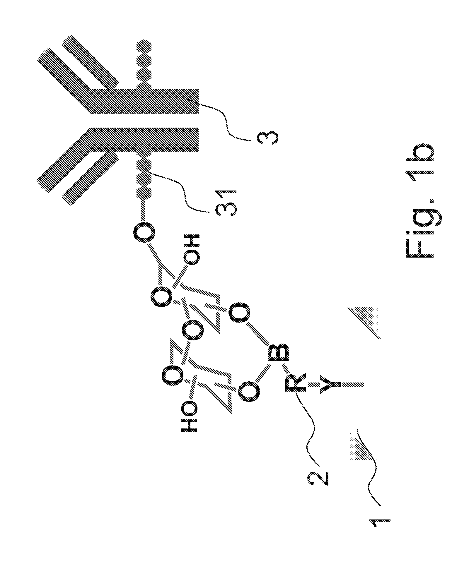 Method for immobilizing glycoprotein