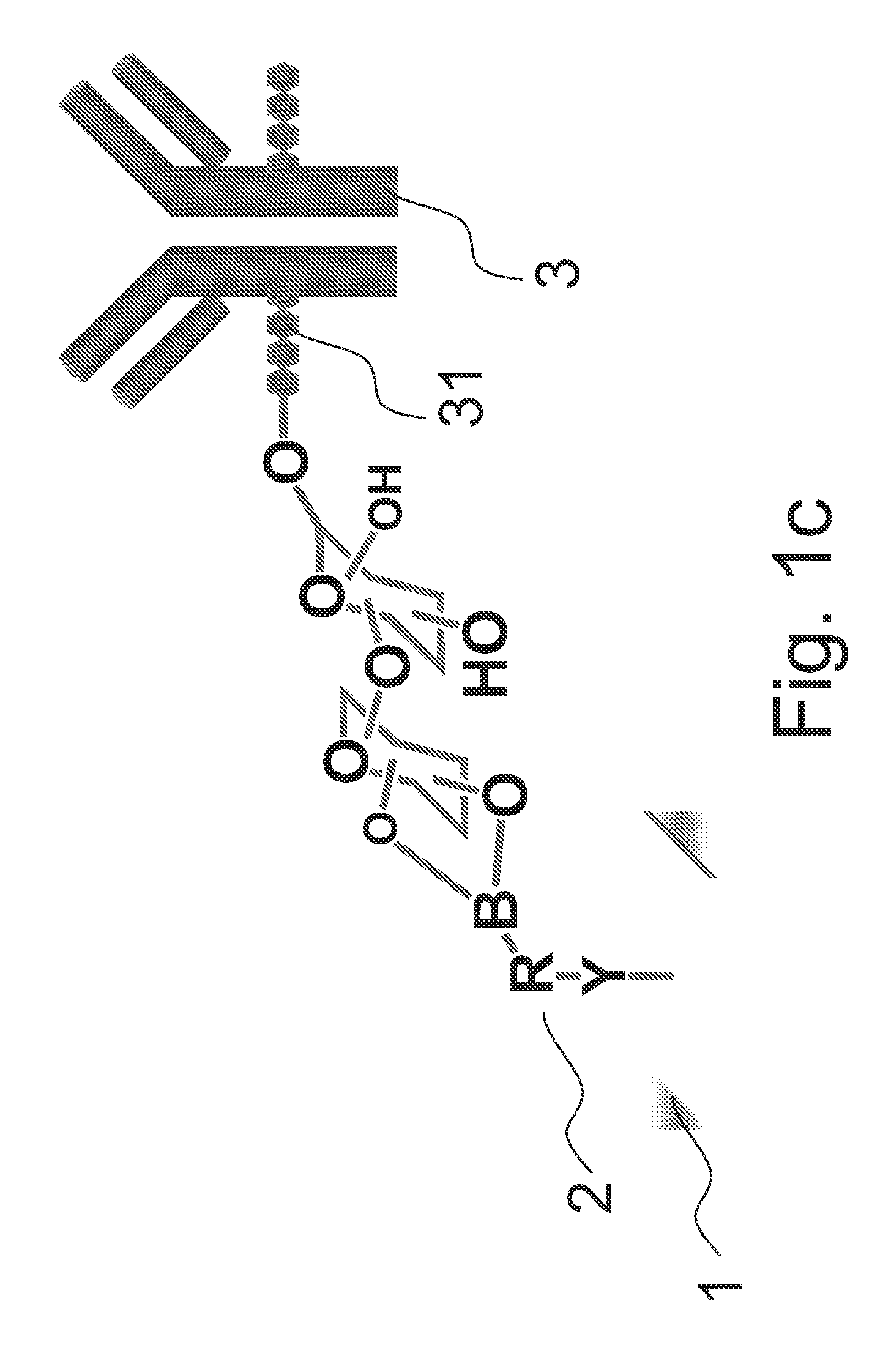 Method for immobilizing glycoprotein