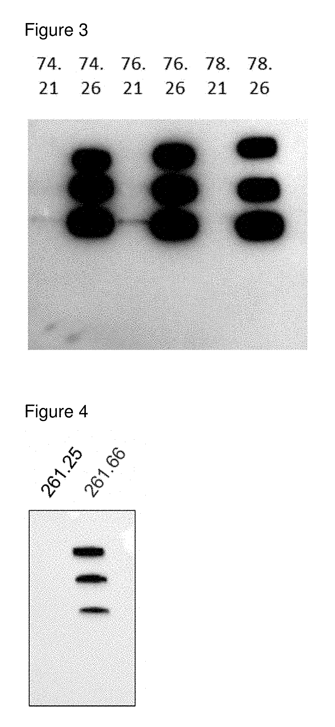 Virus like particle comprising modified envelope protein E3