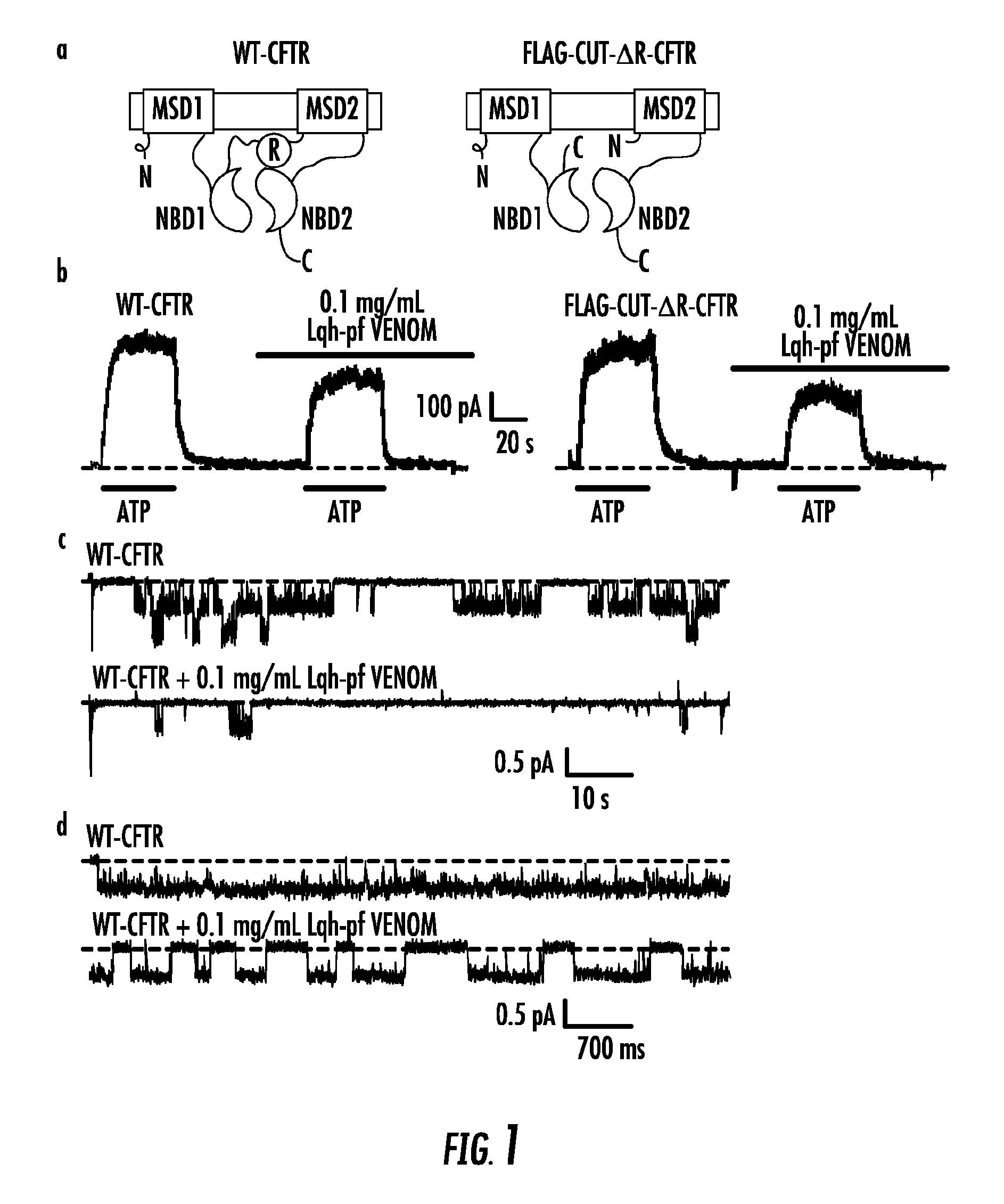 Abc transporter ligand