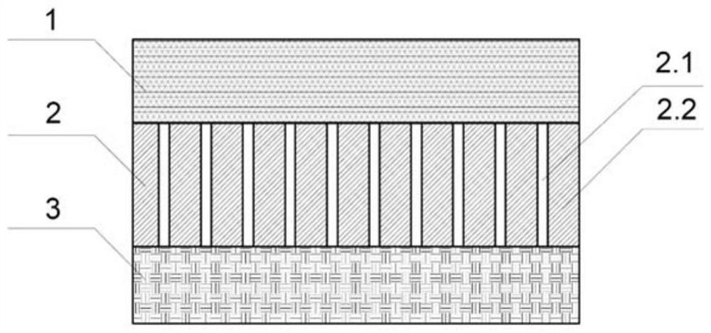 Composite membrane of nuclear pore membrane and electrospinning, preparation method and application thereof