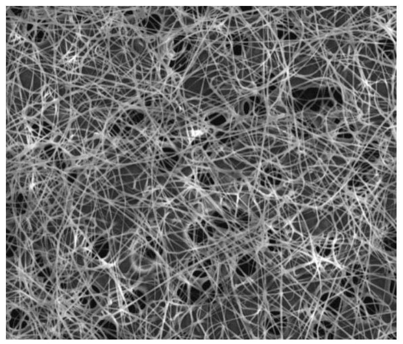 Composite membrane of nuclear pore membrane and electrospinning, preparation method and application thereof