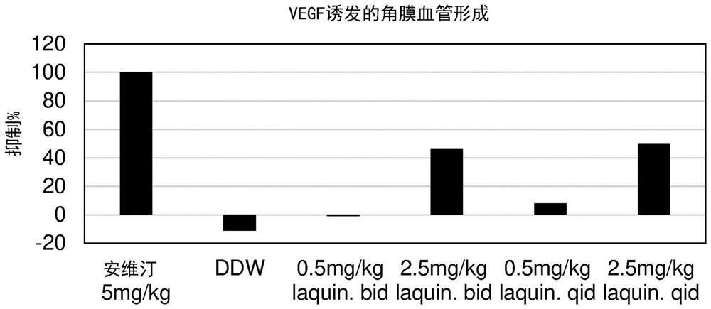 Compounds for treating ocular diseases associated with excessive vascularization