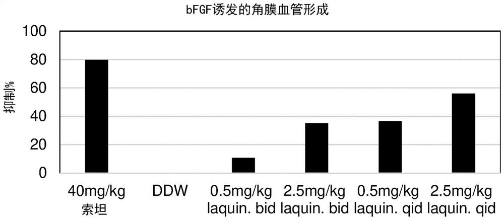 Compounds for treating ocular diseases associated with excessive vascularization