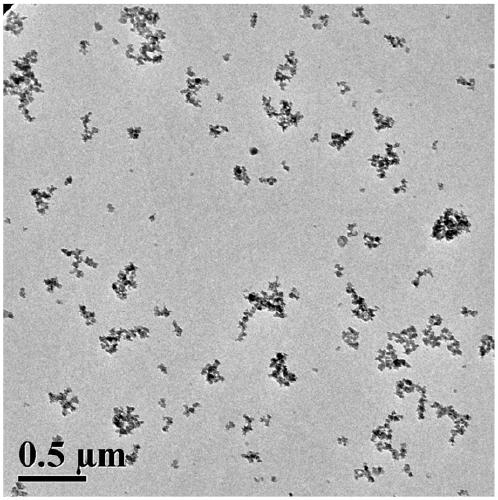 Silicon dioxide nanoparticles grafted with organic functional molecules as well as preparation method and application thereof