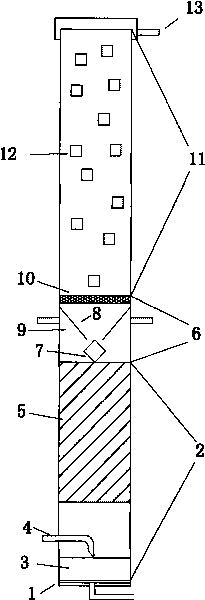 Integrated up-flow reactor and advanced treatment method of fermentation industrial effluent