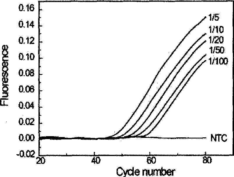 Quantitative detection method of gene rare mutation