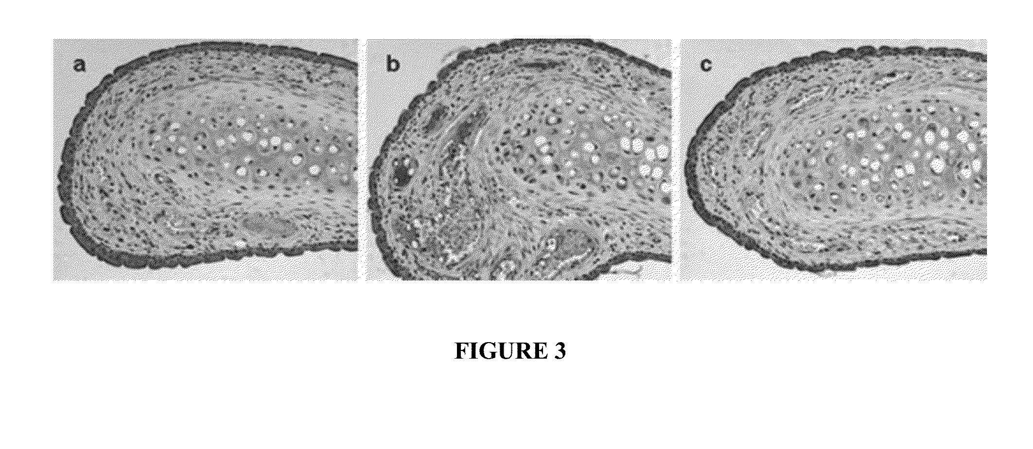 Compositions and Methods for Safe Treatment of Rhinitis