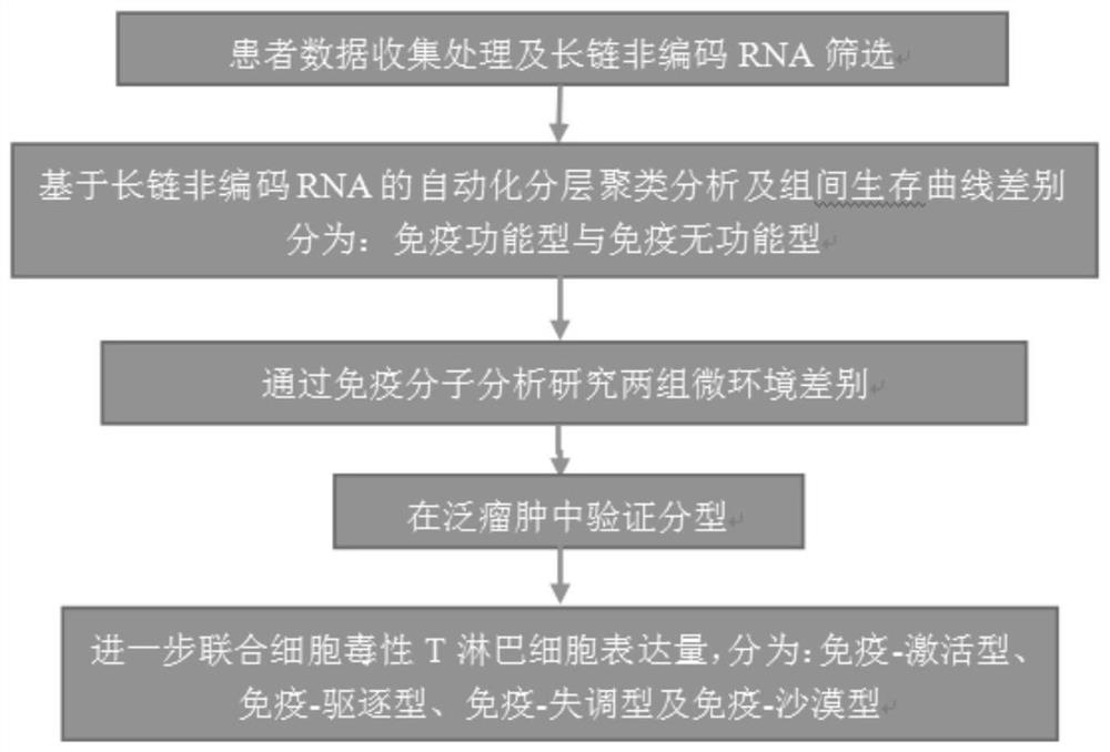 A tumor immunotyping method based on lncRNA markers