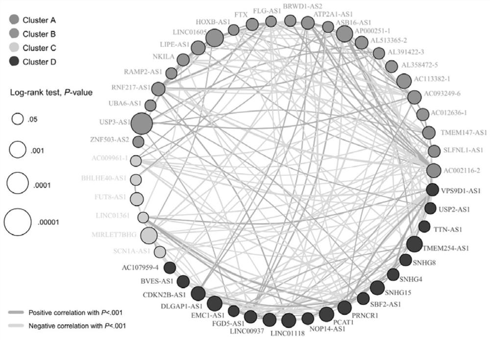 A tumor immunotyping method based on lncRNA markers