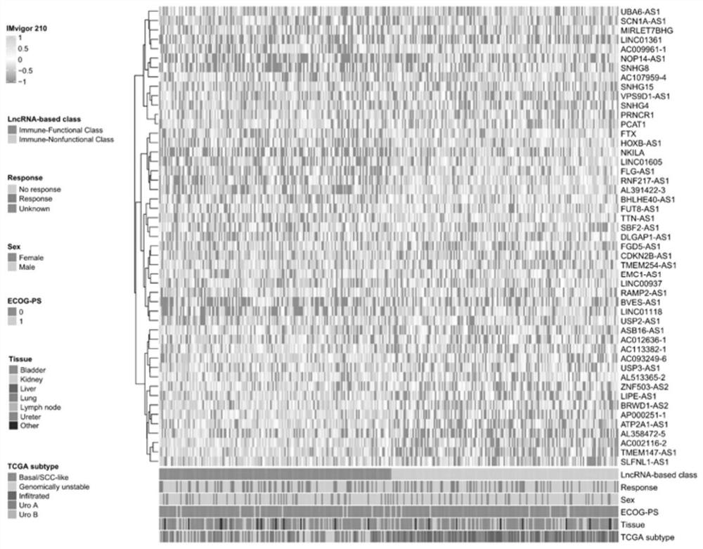 A tumor immunotyping method based on lncRNA markers