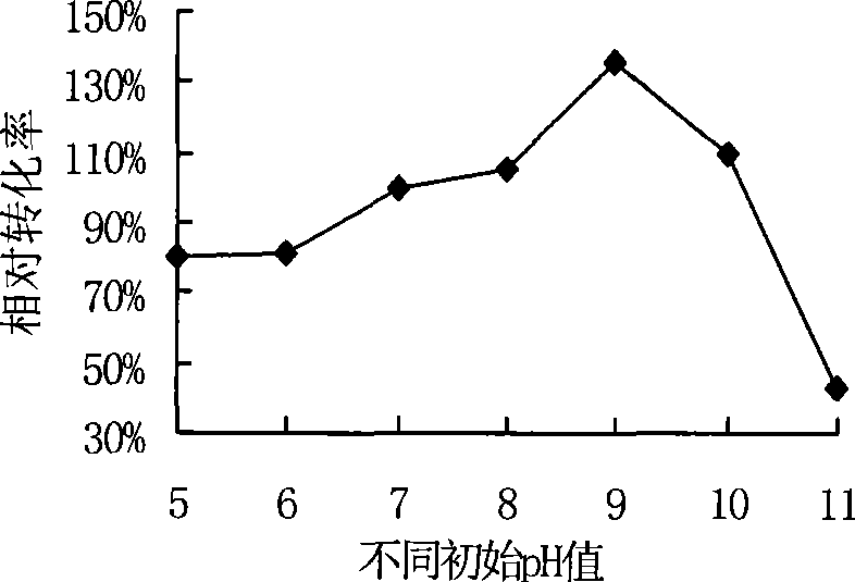 Culture medium for producing benzoylformic acid by fermentation method