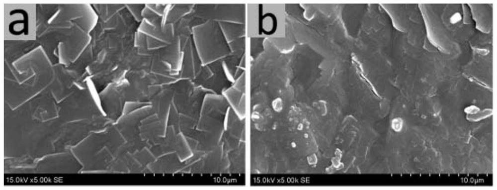 Preparation method of a clinically sculptable magnesium silicate/polyamino acid composite material