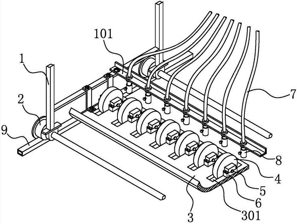 Rapeseed sower and sowing method by using sower