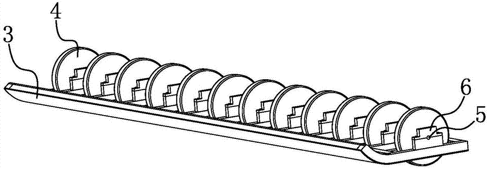 Rapeseed sower and sowing method by using sower