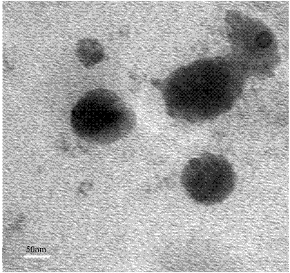 Preparation method and application of normal-temperature ketone and hydrazine self-crosslinked nanometer epoxy resin emulsion