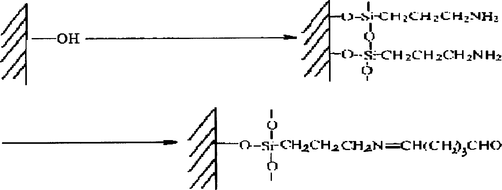 Method for fixing biological macro molecule in common pattern on inorganic silicone material surface