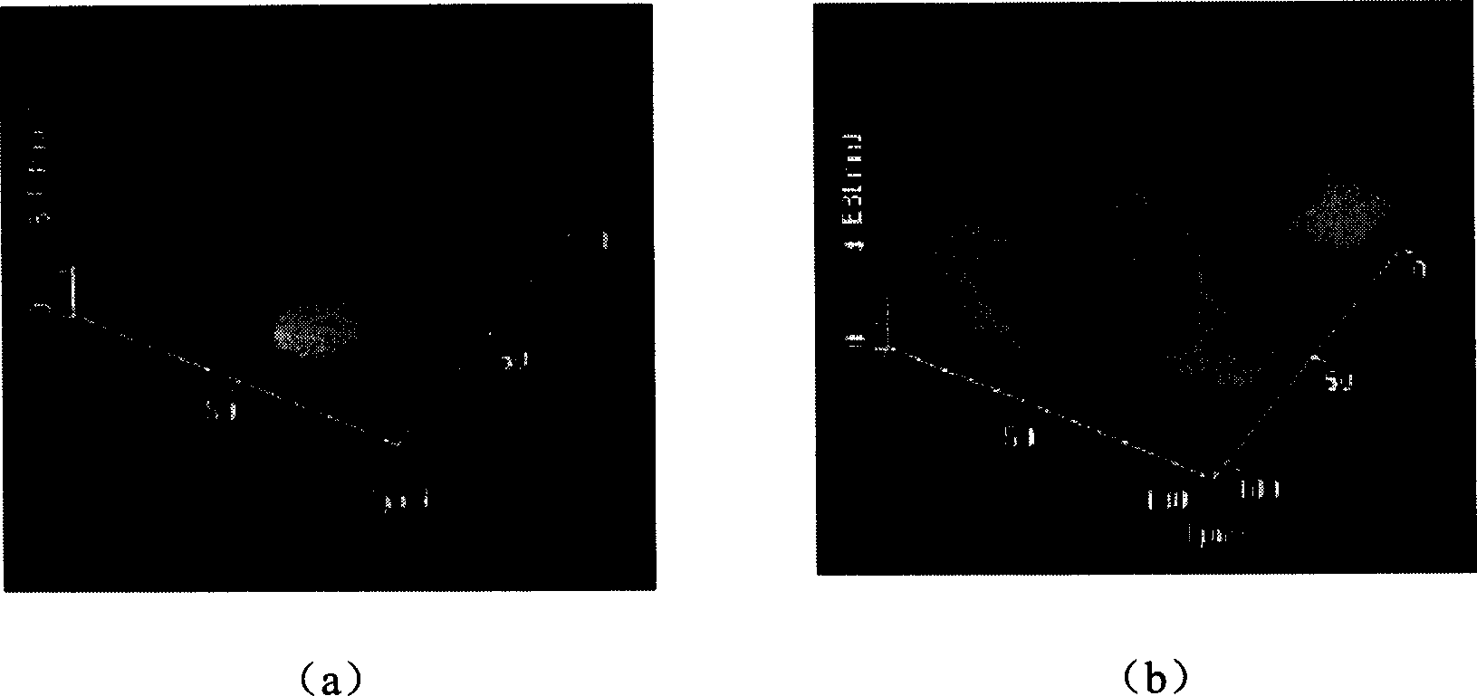 Method for fixing biological macro molecule in common pattern on inorganic silicone material surface