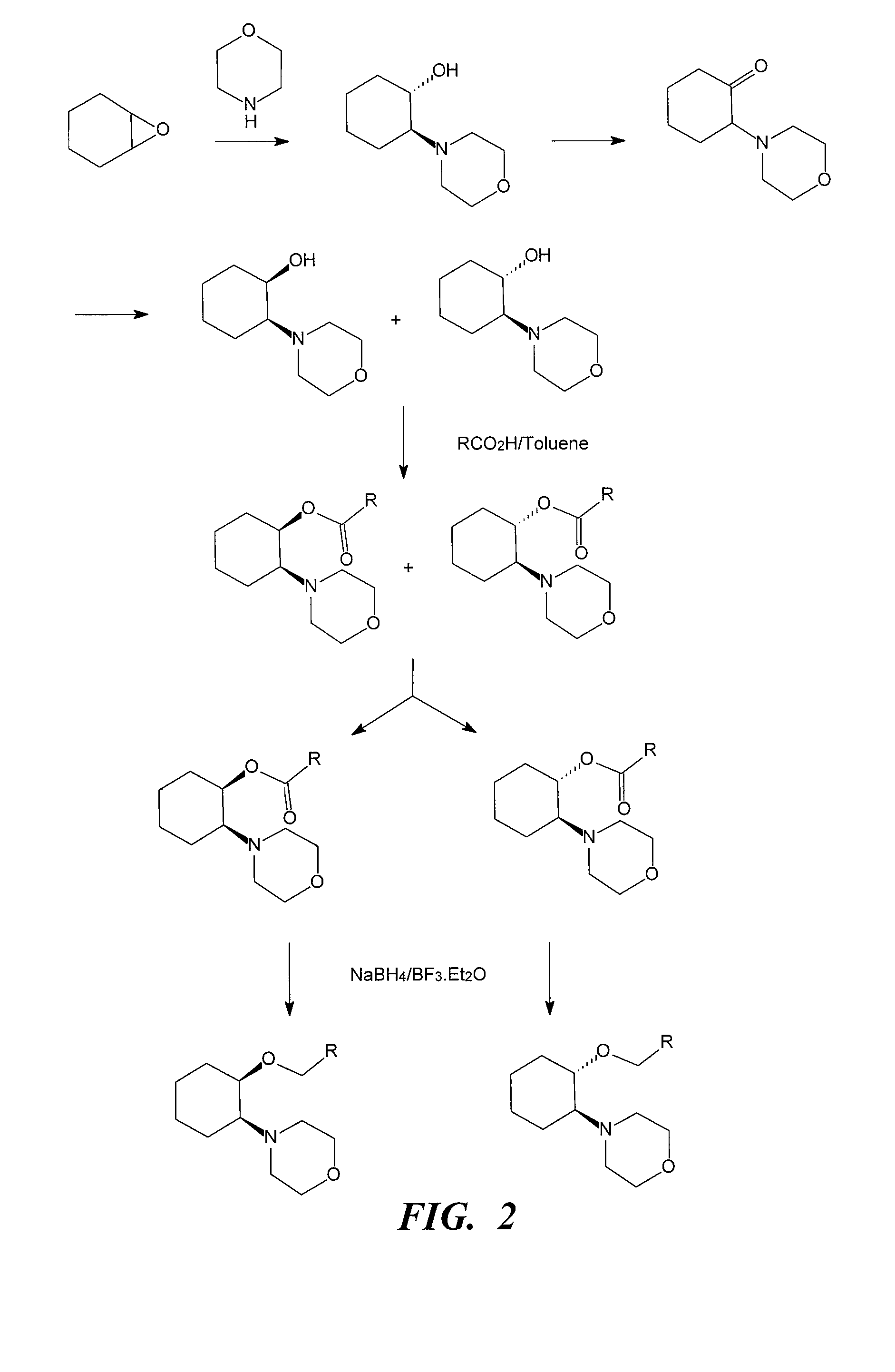 Ion channel modulating compounds and uses thereof