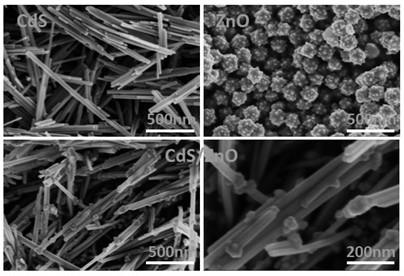 CdS/ZnO composite piezoelectric photocatalyst and preparation method and application thereof