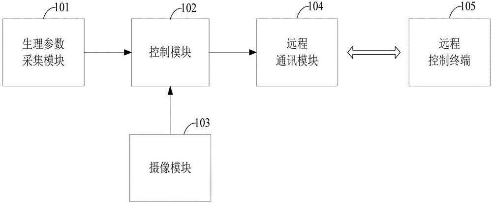 Remote real-time monitoring system