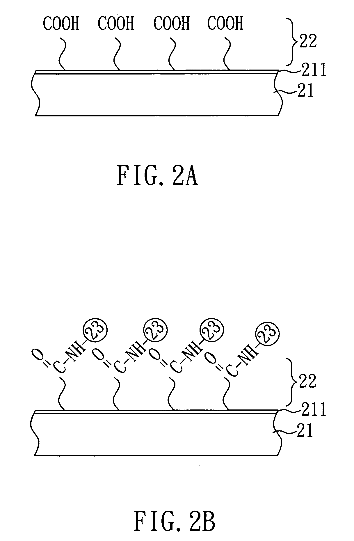 Method for biomolecule immobilization