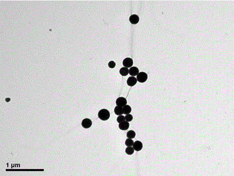 Preparation method of medical metal implant surface embedded with chitosan microsphere collagen coating