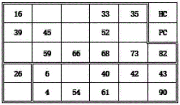 Visual chip and preparation method thereof and method for chip visualization