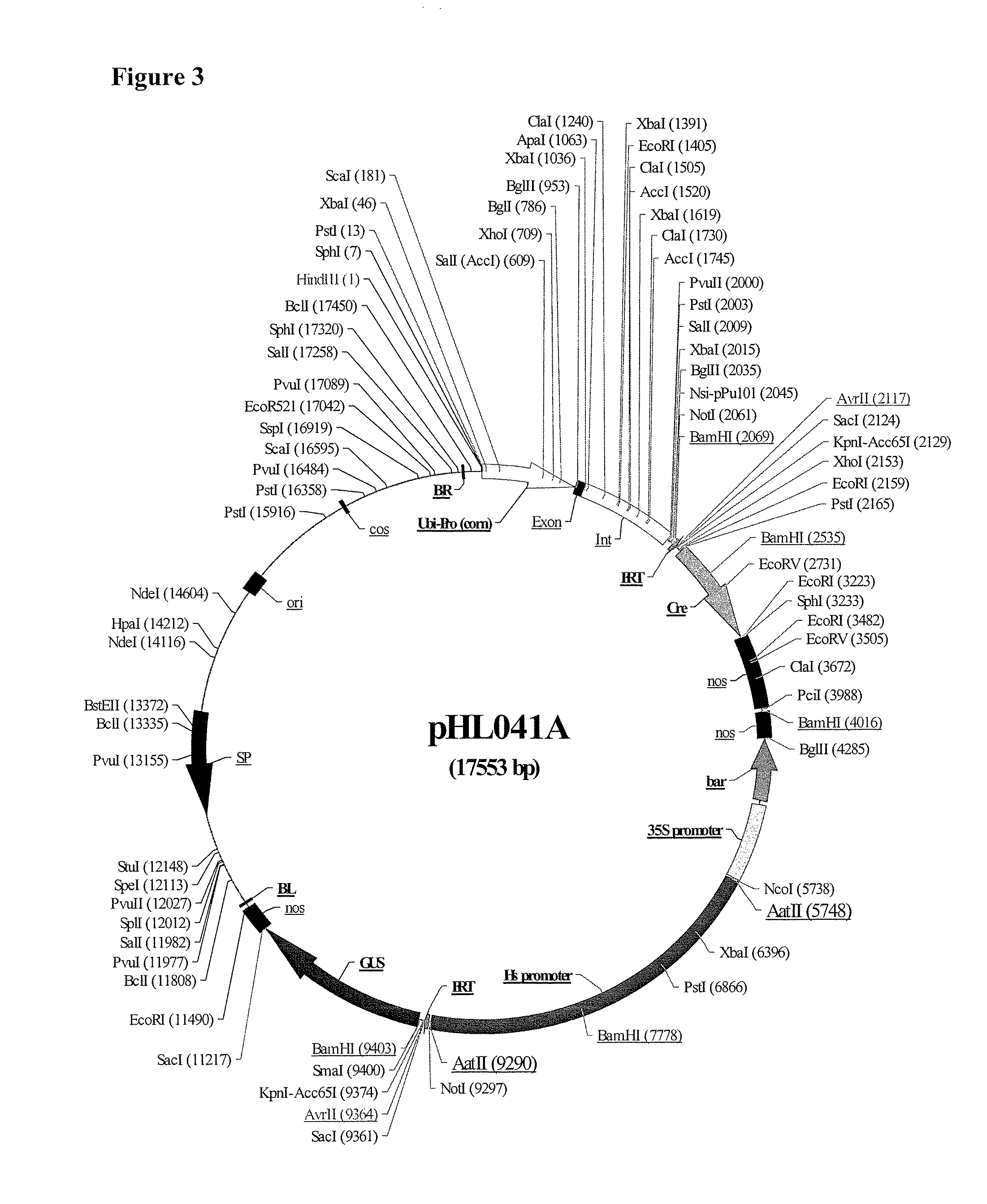 Methods and compositions for an integrated dual site-specific recombination system for producing environmentally safe and clean transgenic plants