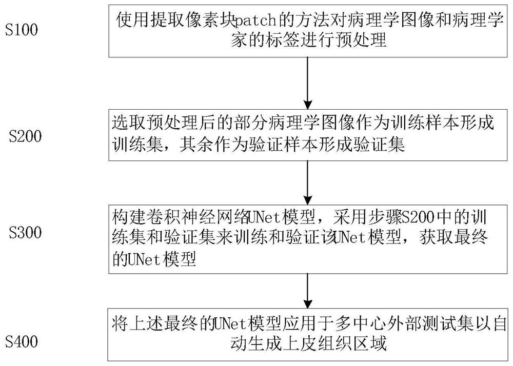 Automatic segmentation method for oral cancer epithelial tissue region of pathology image