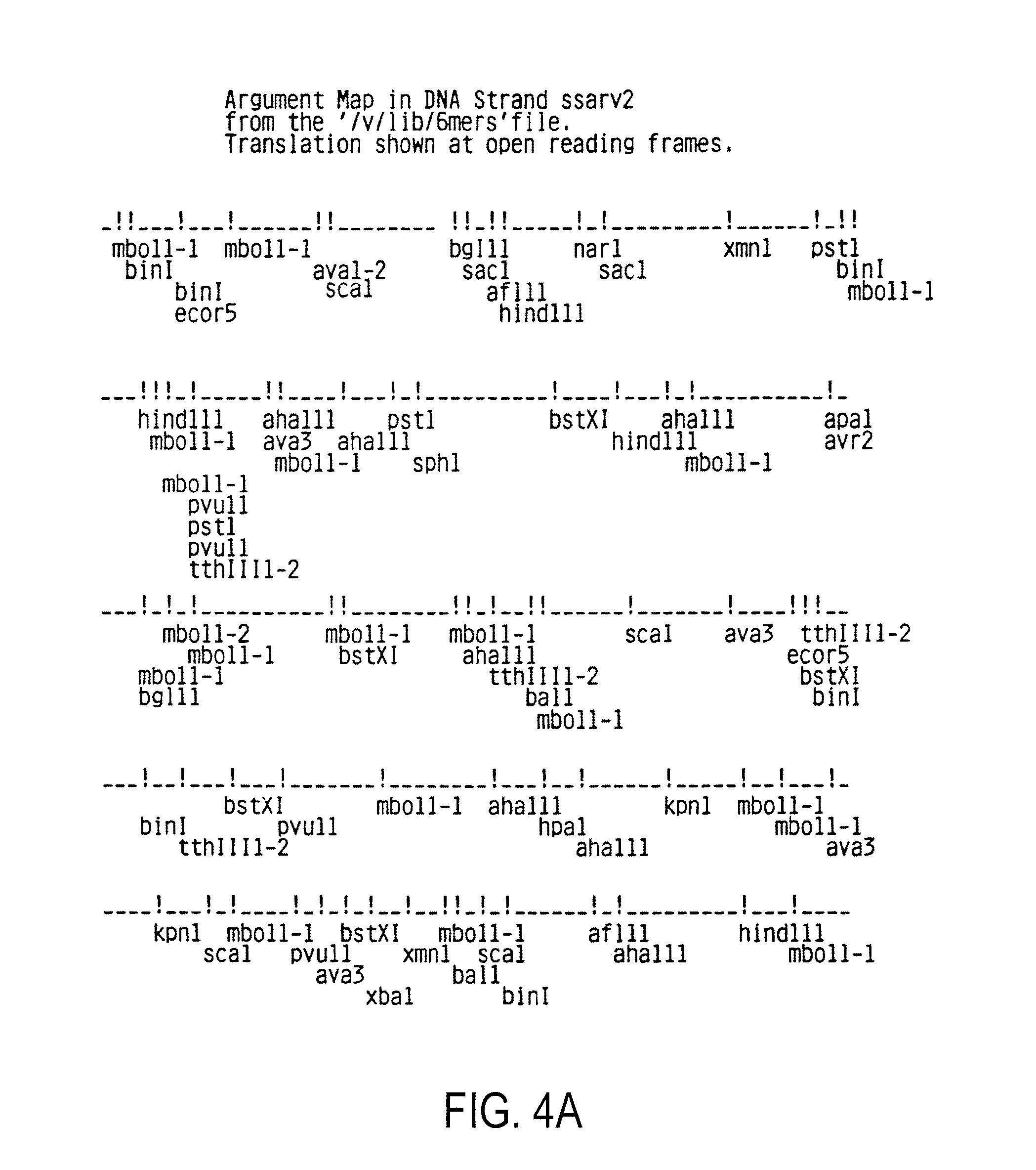 Human immunodeficiency virus (HIV) nucleotide sequences