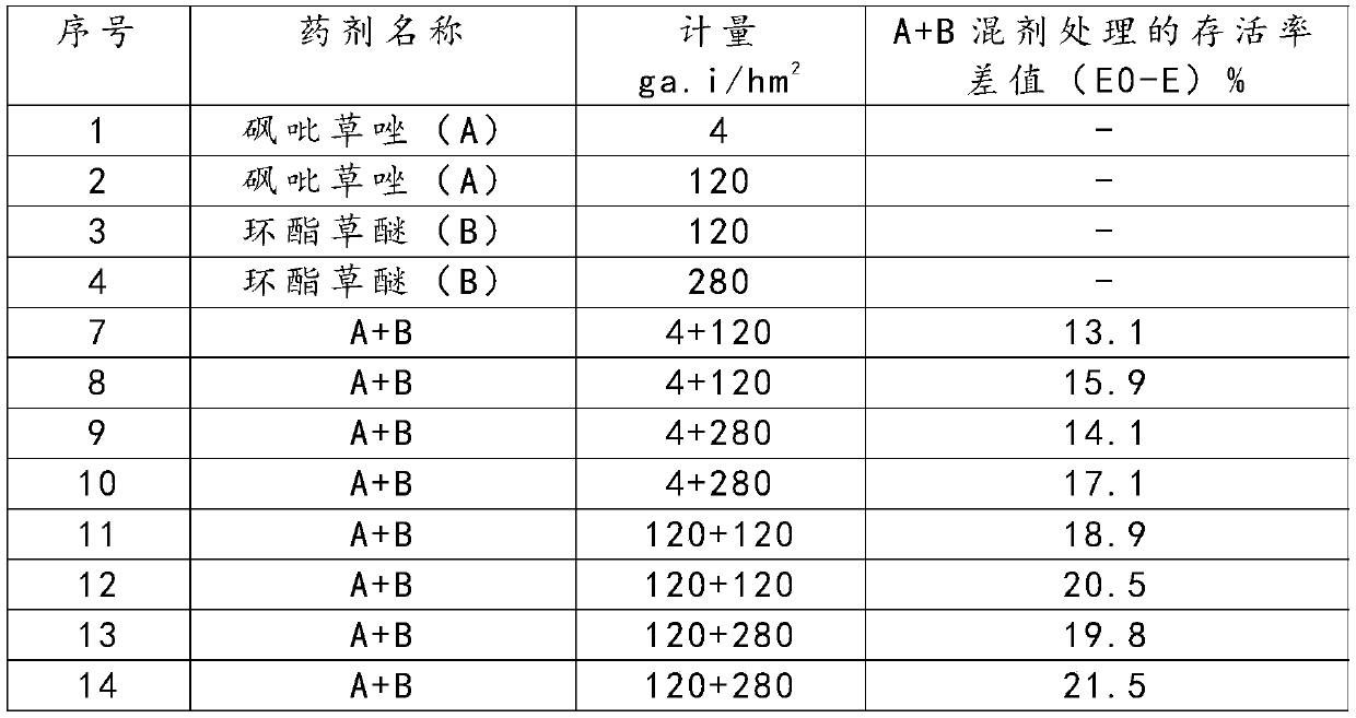 Paddy field weeding composition and application thereof