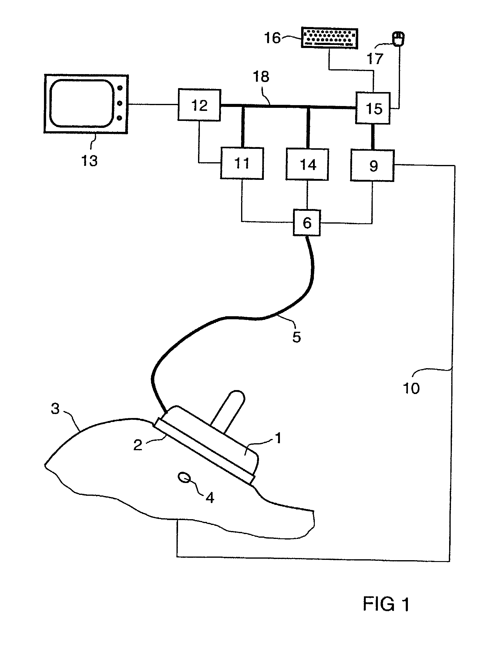 Measurement system for examining a section of tissue on a patient and the use of a measurement system of this type