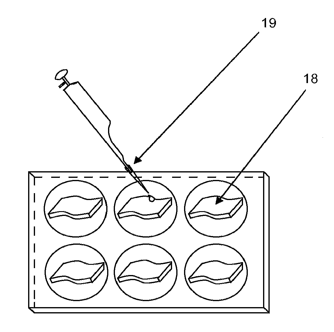 Cell-guiding fibroinductive and angiogenic scaffolds for periodontal tissue engineering