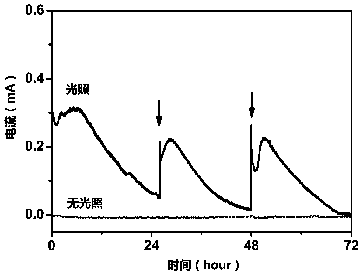 System and method for microbial/photocoupled reduction of carbon dioxide to produce methane