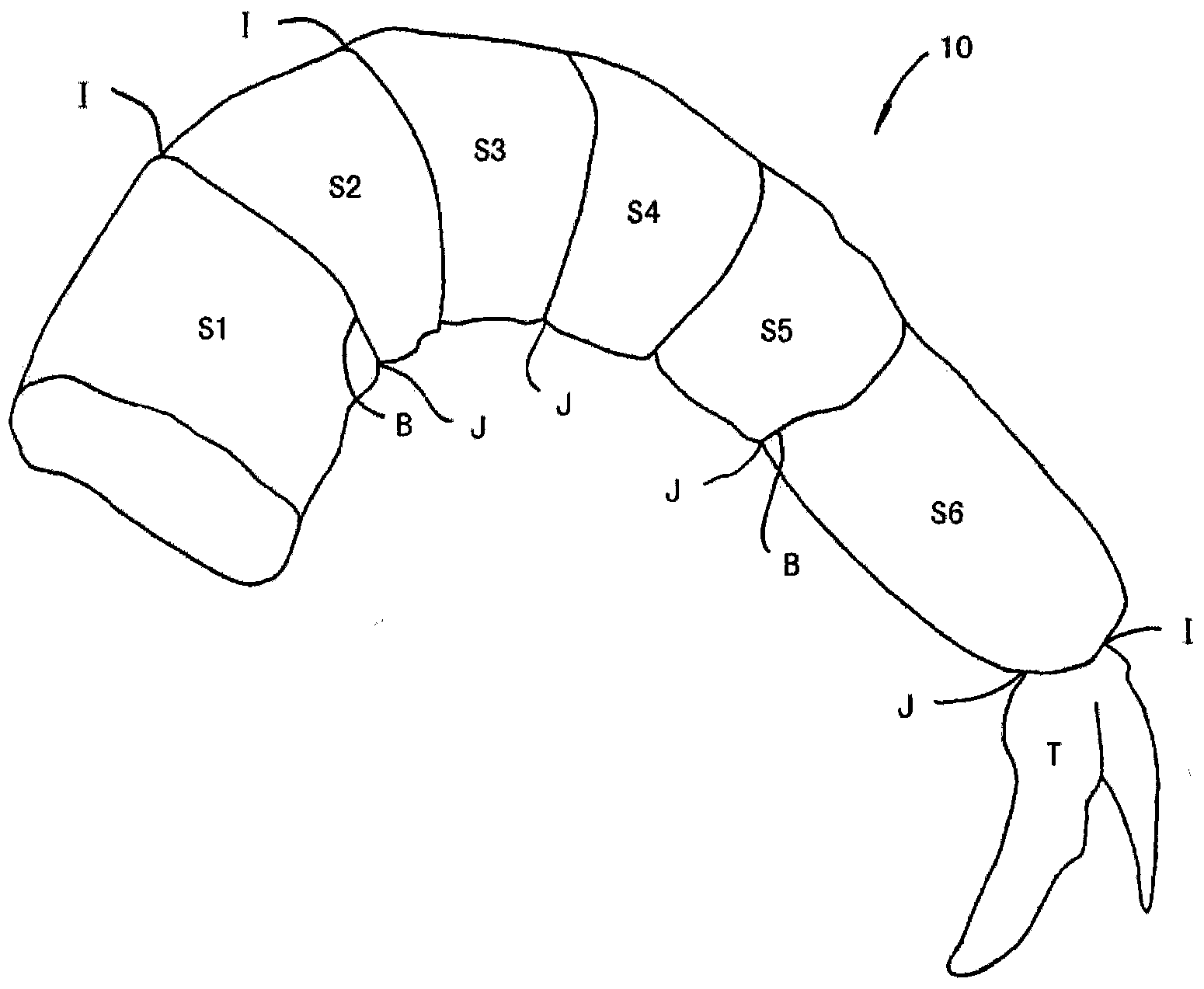 Shrimp Processing System And Methods