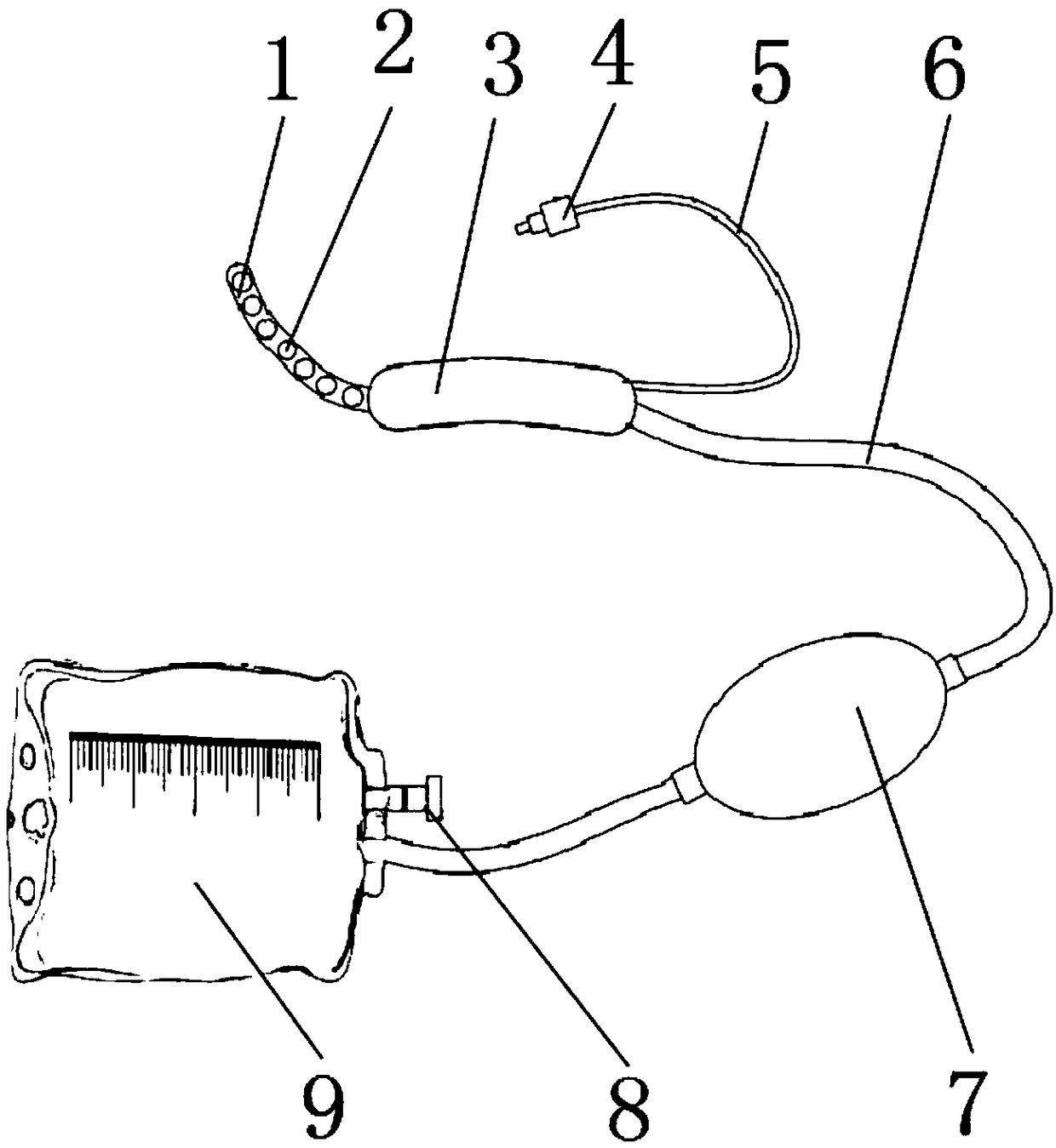 Pre-colonoscopy intestinal preparation apparatus