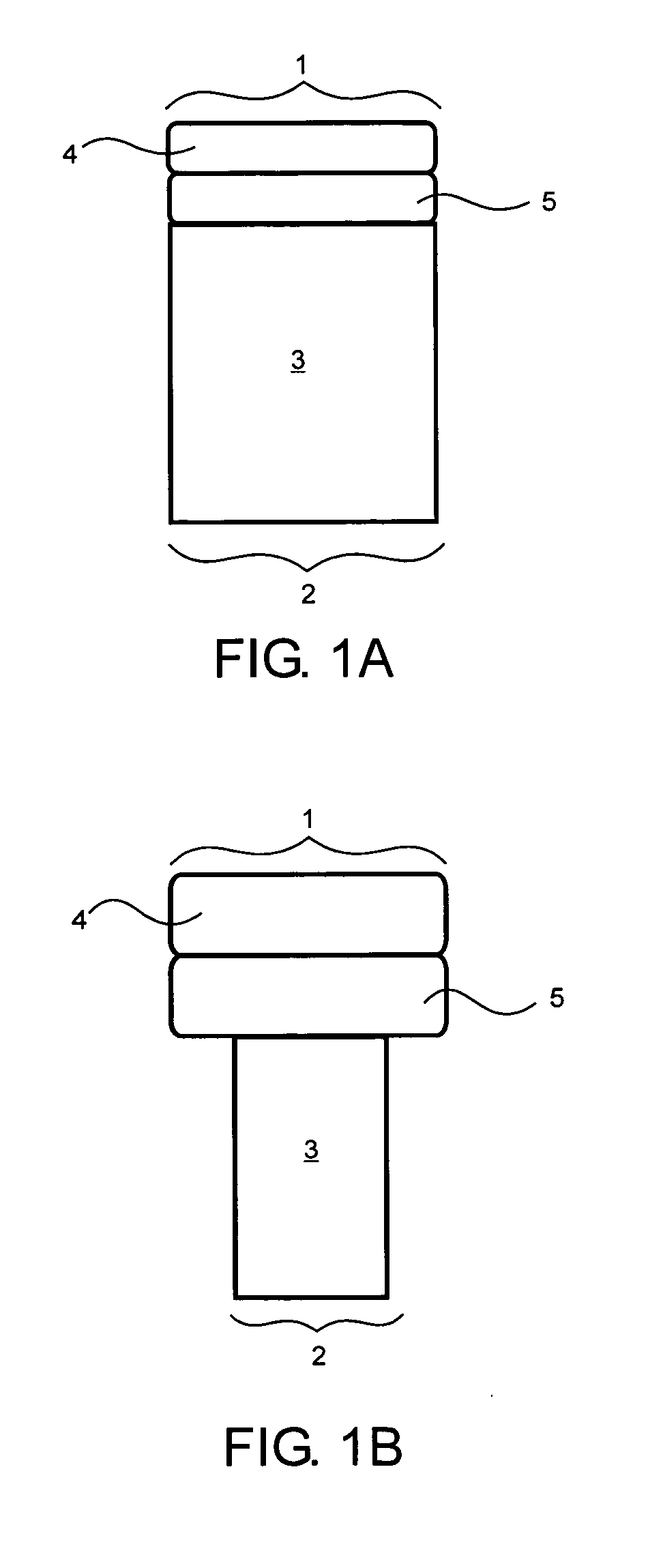 Implant scaffold combined with autologous or allogenic tissue