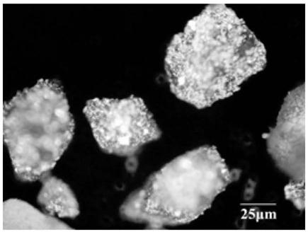 Application of polyaninophenol as precious metal adsorbent