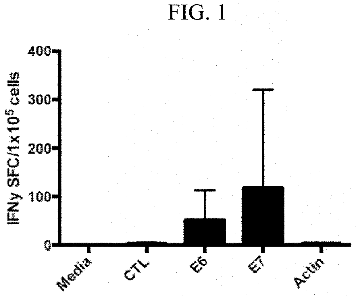 Generating HPV antigen-specific t cells from a naïve t cell population