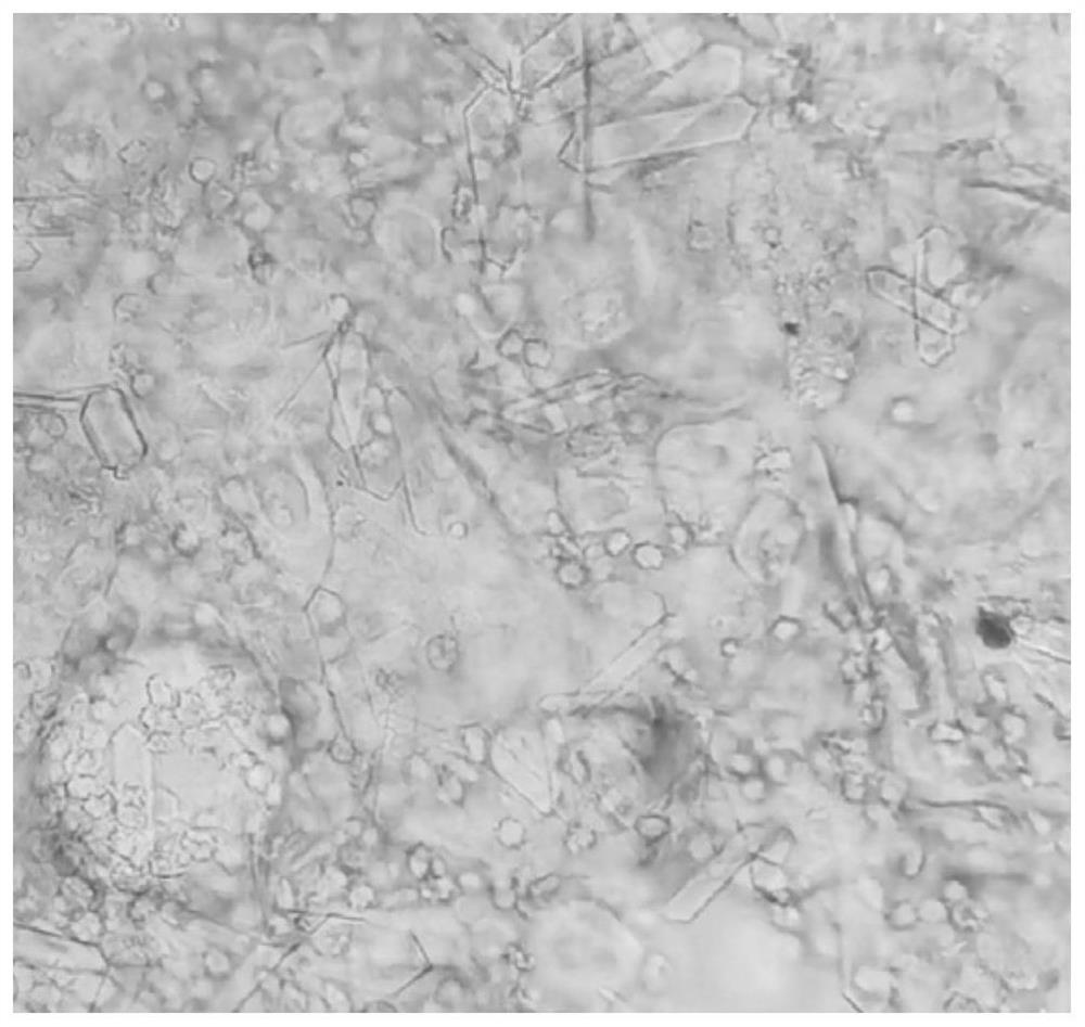 Composition for constructing urolithiasis cat disease model