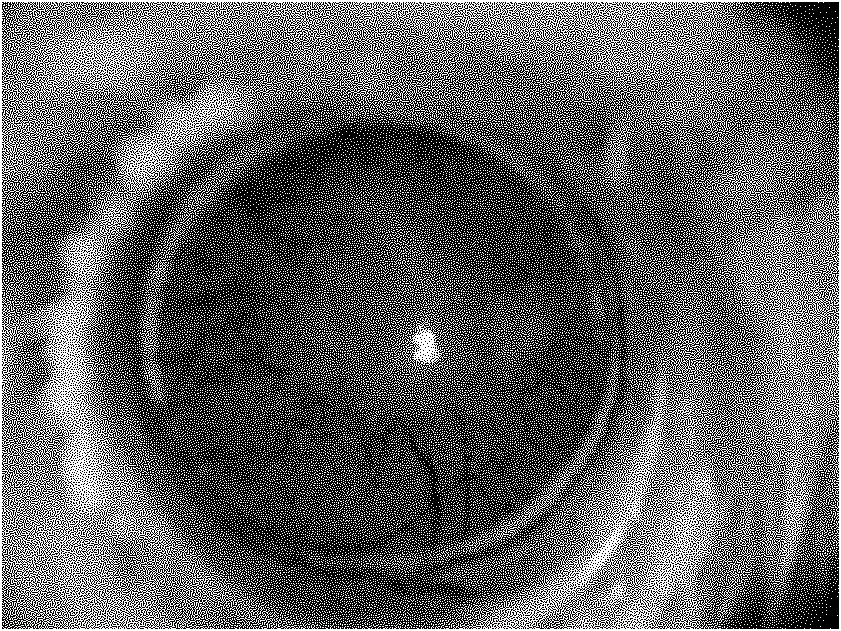 Eye drops and preparation method thereof