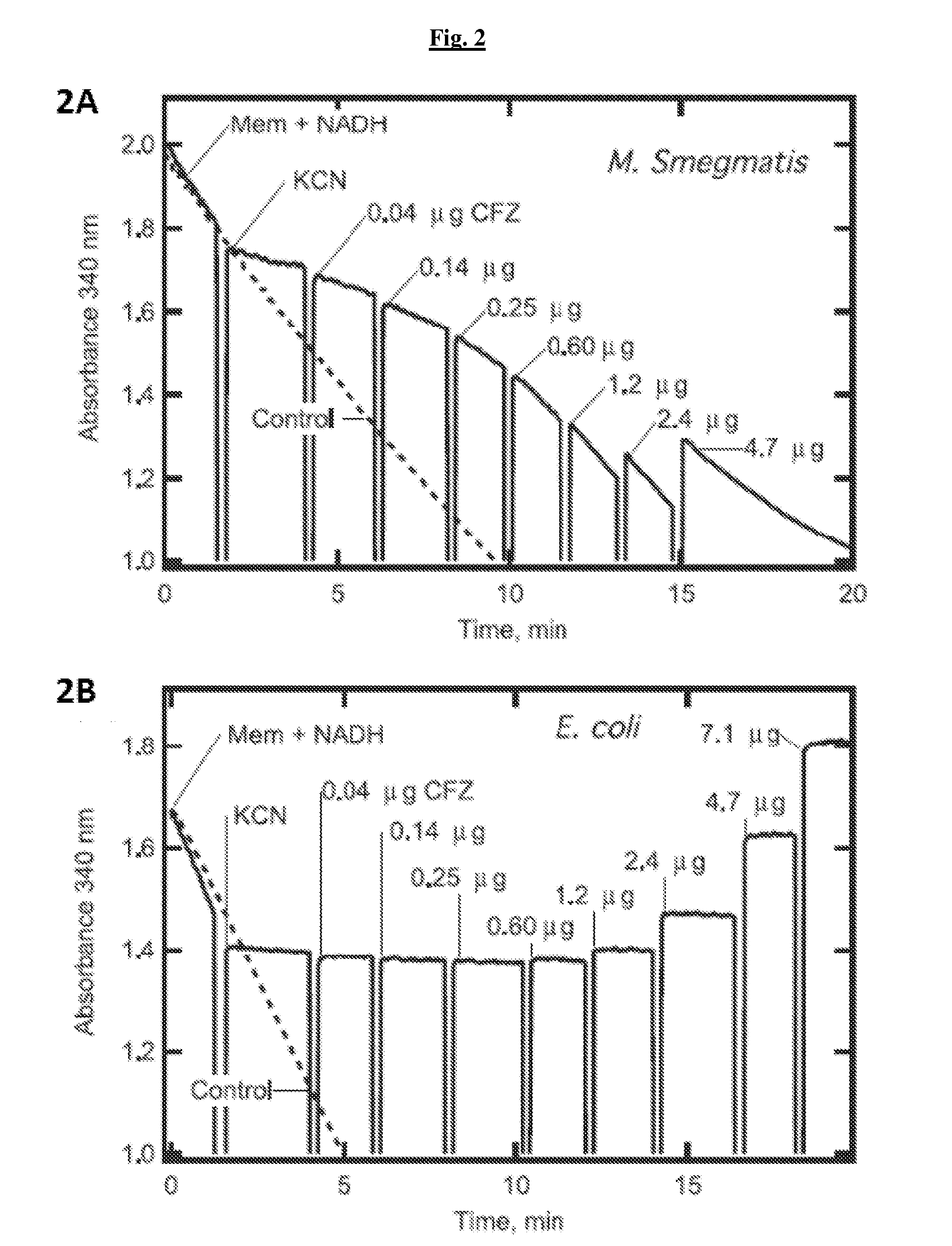 Novel therapeutic agents