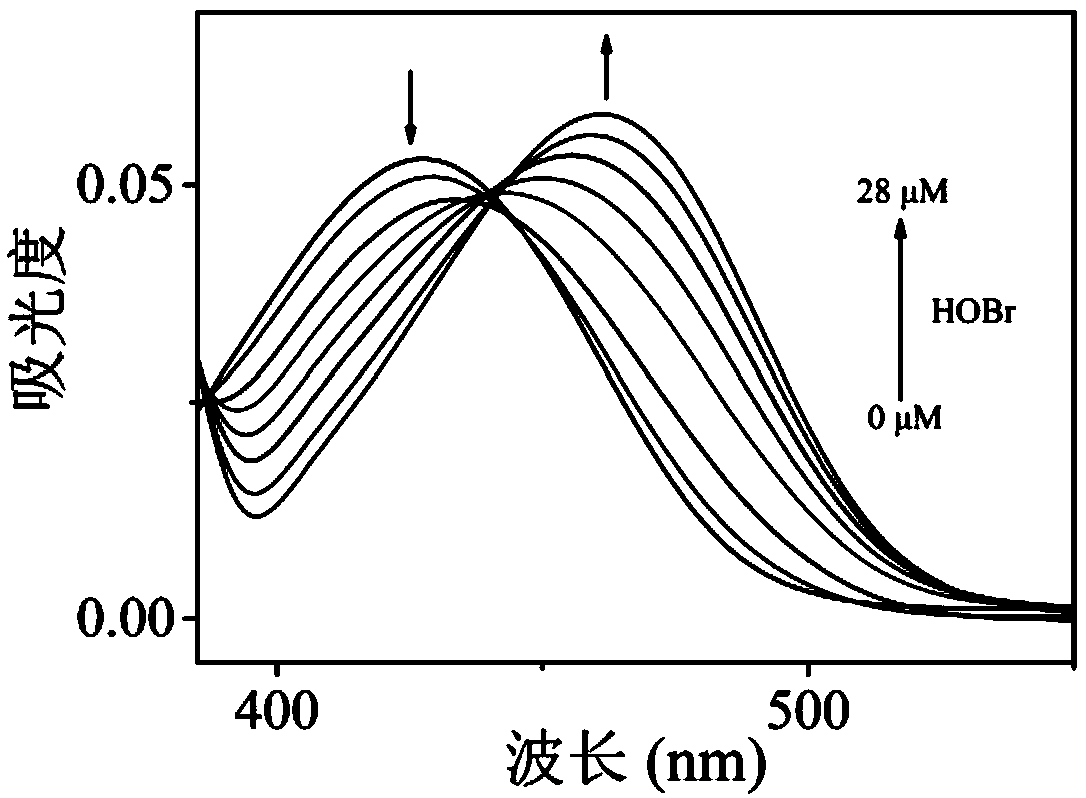 Ratiometric fluorescent probe compound for detecting hypobromous acid and application thereof