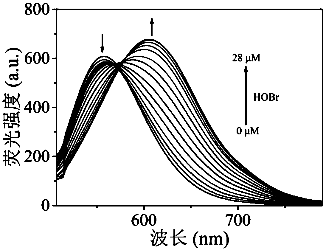 Ratiometric fluorescent probe compound for detecting hypobromous acid and application thereof